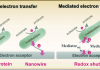 Figure 1. Visualization of direct and mediated extracellular electron transfer by bacteria.