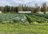 Farm in Fairbanks, Alaska