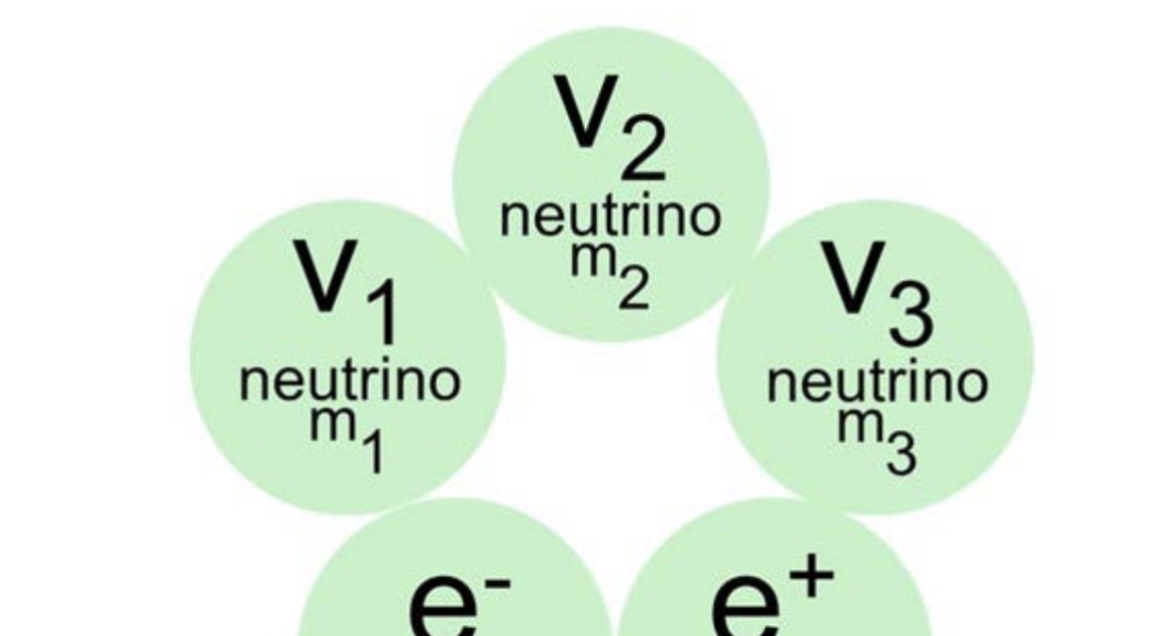 Figure 1: The five elementary particles of the Universe (5)