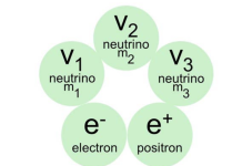 Figure 1: The five elementary particles of the Universe (5)