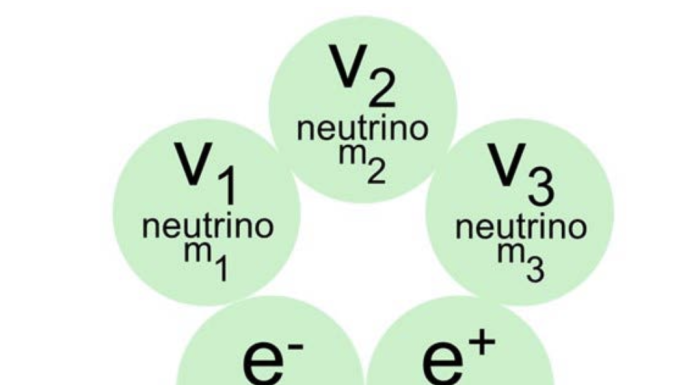 Figure 1: The five elementary particles of the Universe (5)