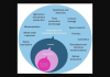 Graphic representation of outcomes derived from the application of microbes.