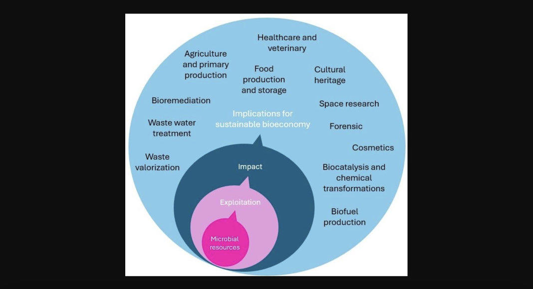 Graphic representation of outcomes derived from the application of microbes.