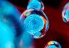 Creative image of embryonic stem cells, cellular therapy, 3d illustration