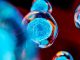 Creative image of embryonic stem cells, cellular therapy, 3d illustration