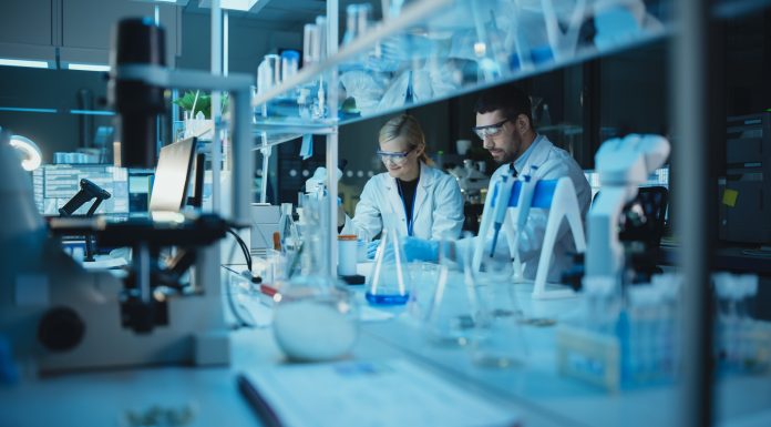 Team of Medical Research Scientists Conduct Experiments with Help of Microscope, Test Tubes, Micropipette and Desktop Computer. Modern Biological Applied Science Laboratory with Diverse Colleagues.