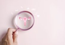 Checkup uterus, female reproductive system, women's health, PCOS, ovary gynecologic and cervical cancer, Healthy feminine concept