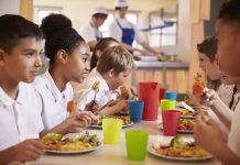 Primary school kids eat lunch in school cafeteria, close up