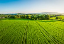 Aerial view over healthy green summer crops in a picturesque rural landscape of patchwork pasture and country farms.