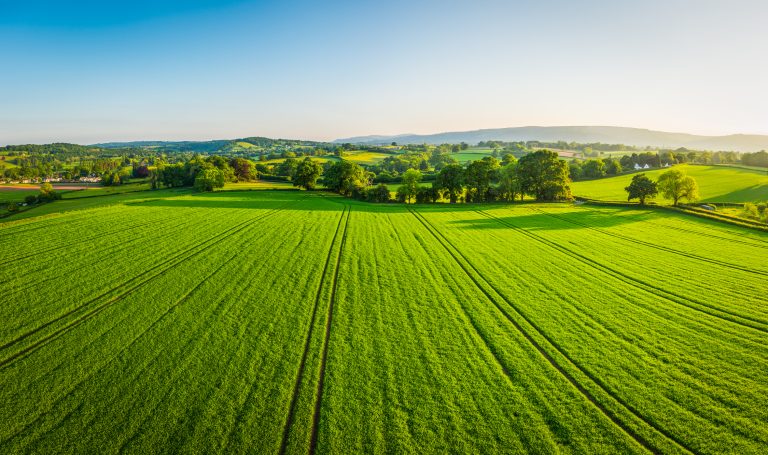 Aerial view over healthy green summer crops in a picturesque rural landscape of patchwork pasture and country farms.