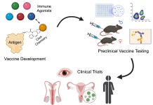 Novel conjugate vaccines are generated by attaching various immune agonists to Chlamydia antigens using cell-free protein synthesis and click-chemistry. These vaccines are then tested in pre- clinical animal models for immunogenicity and efficacy. The top candidate(s) will progress to phase 1 clinical trials to determine safety and effectiveness against genital and ocular Chlamydia infections.