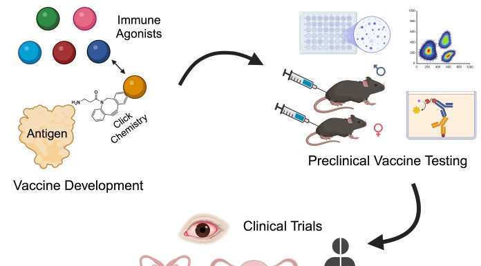 Novel conjugate vaccines are generated by attaching various immune agonists to Chlamydia antigens using cell-free protein synthesis and click-chemistry. These vaccines are then tested in pre- clinical animal models for immunogenicity and efficacy. The top candidate(s) will progress to phase 1 clinical trials to determine safety and effectiveness against genital and ocular Chlamydia infections.