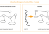 Fig. 1. Interactive Emergence Society vs. T-society