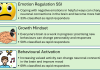 Figure 1: Use of Single Session Intervention (SSI) before people start treatment for an eating disorder (SSIs were modified from those created by Schleider) (11)