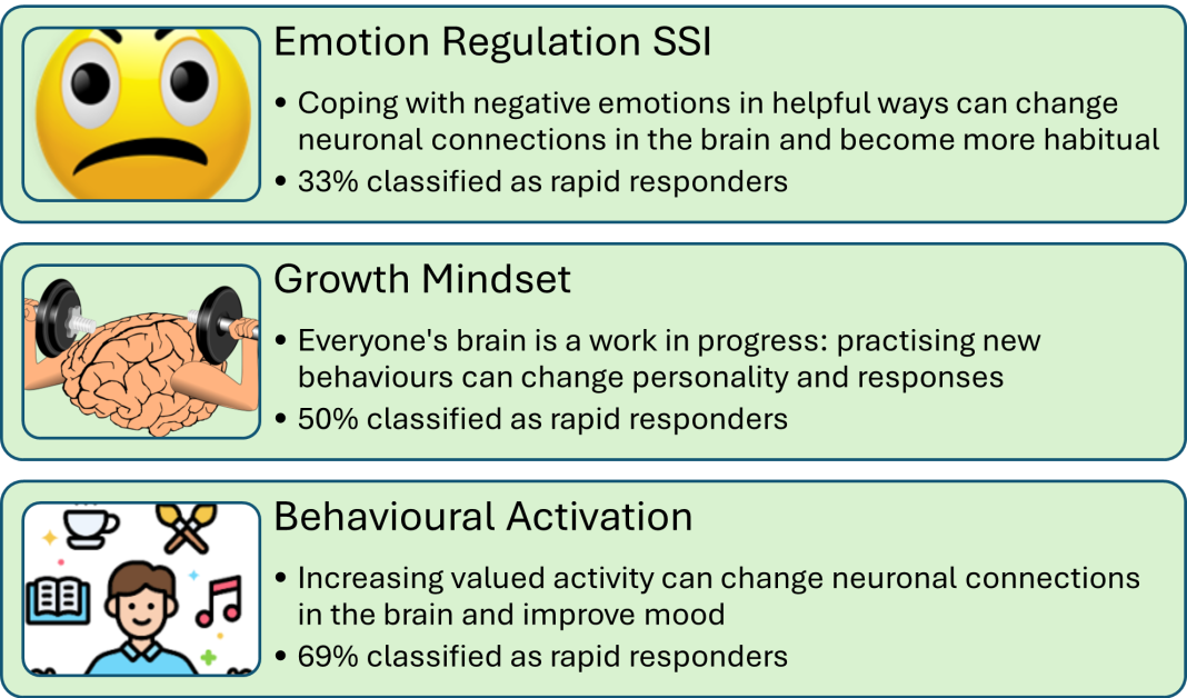 Figure 1: Use of Single Session Intervention (SSI) before people start treatment for an eating disorder (SSIs were modified from those created by Schleider) (11)