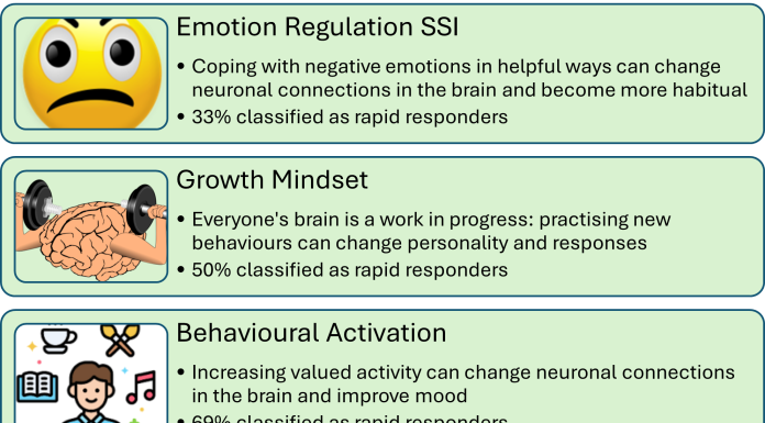 Figure 1: Use of Single Session Intervention (SSI) before people start treatment for an eating disorder (SSIs were modified from those created by Schleider) (11)