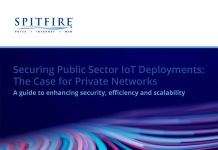 Securing Public Sector IoT Deployments: the Case for Private Networks