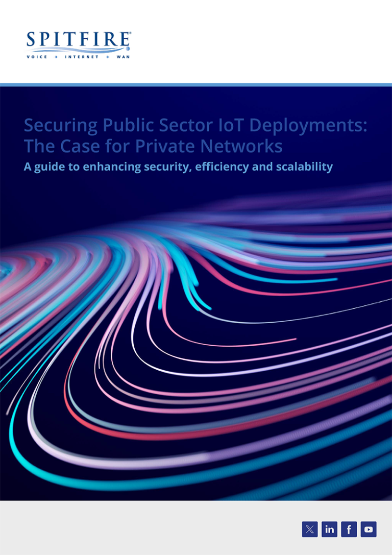 Securing Public Sector IoT Deployments: the Case for Private Networks