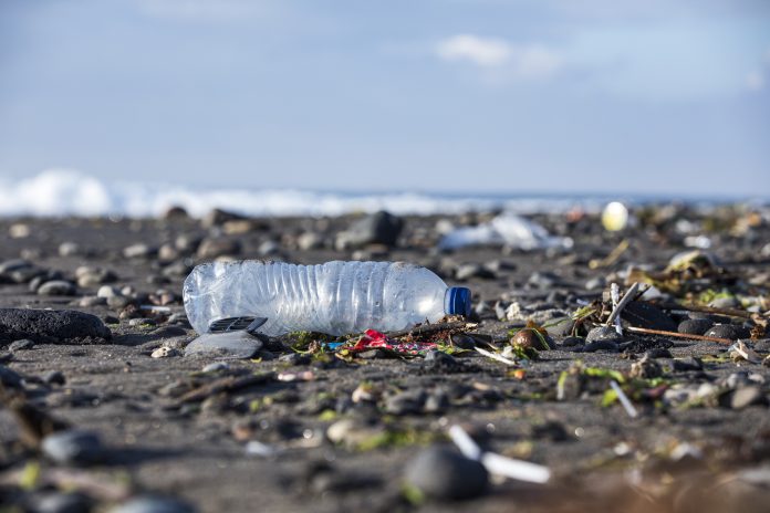 Plastic Water Bottle amongst trash on the beach