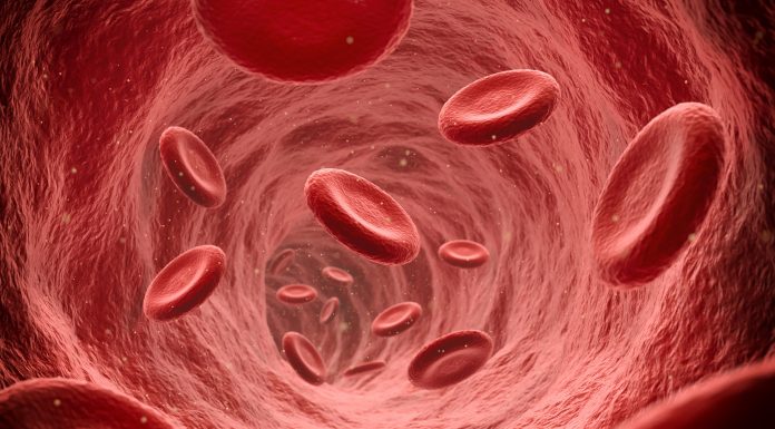 Endoscopic view of flowing red blood cells in a vein, illustration render