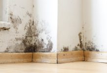 Damp buildings damaged by black mold and fungus, dampness or water. infiltration, insulation and mold problems in the wall of the house