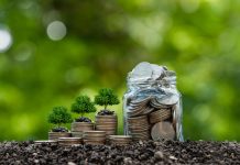 vStack of silver coins with seedlings ready to grow. Green finance concept. Concept of green business, finance and sustainable investment. Carbon credits. investment saves money