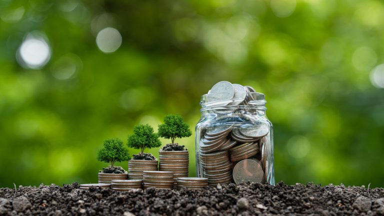 vStack of silver coins with seedlings ready to grow. Green finance concept. Concept of green business, finance and sustainable investment. Carbon credits. investment saves money