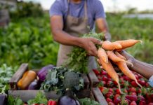 Close-up on a man selling carrots at a Farmer's Market