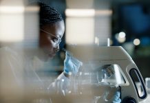 Scientist, microscope and analysis in lab for healthcare, innovation and development in stem cell research. Black woman, investigation and experiment with biotech for dna, exam or test for bacteria