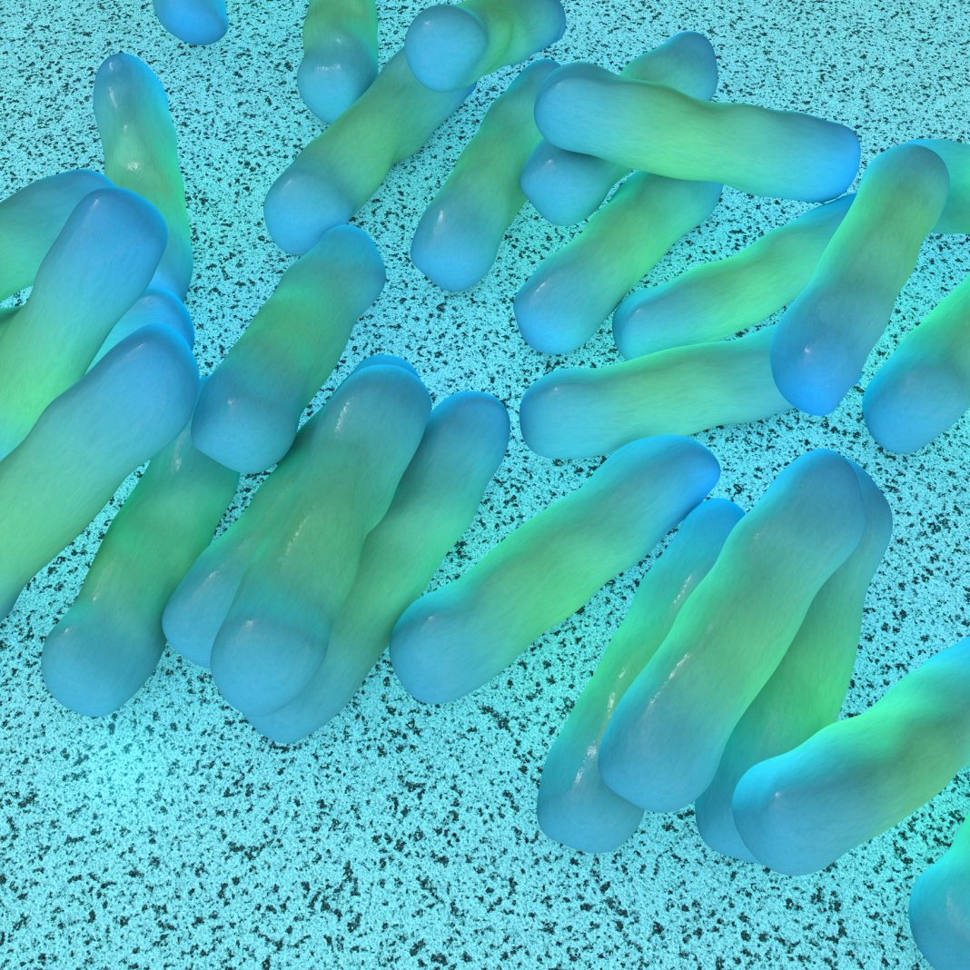 Shigella dysenteriae bacteria - 3d rendered illustration