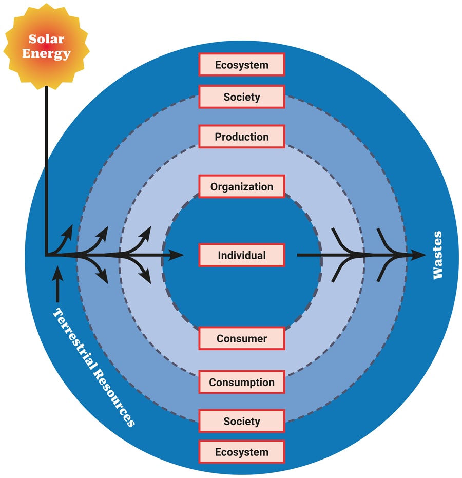 Open Systems Model – showing nested hierarchy of systems from individual business operations through societal and ecological systems, emphasizing resource flows and feedback loops