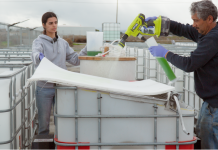 Inoculation of microalgae on a porous substrate being deployed within a module