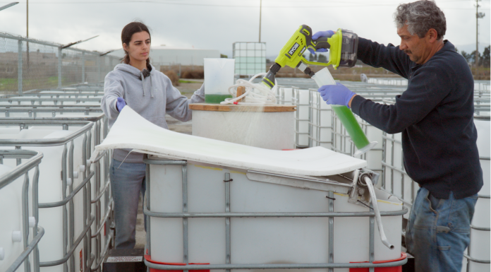 Inoculation of microalgae on a porous substrate being deployed within a module