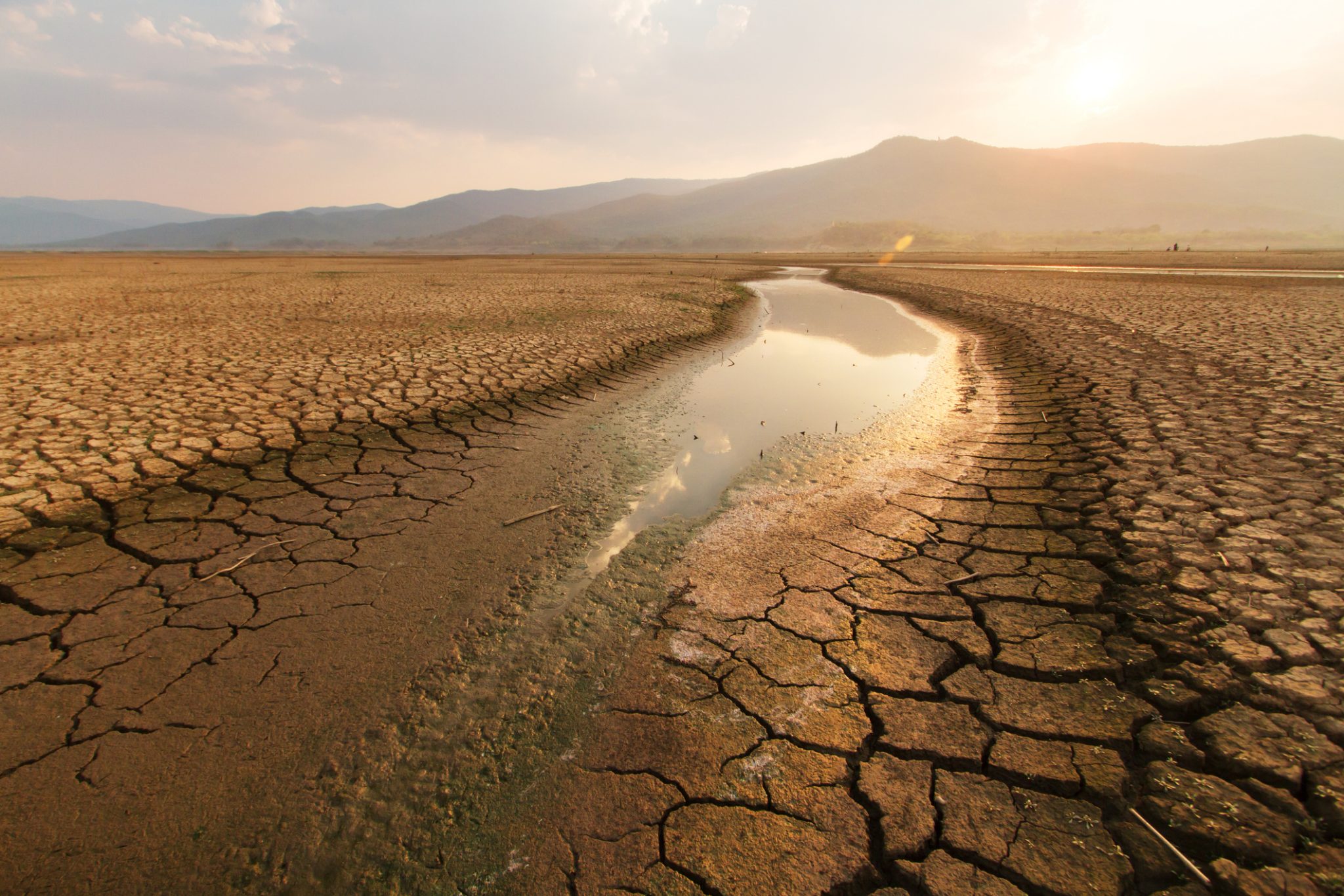 The World Drought Atlas: Global Effects Of Drought On Economies And ...