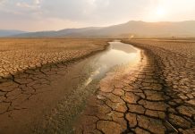 Dried lake and river on summer and Climate change concept.