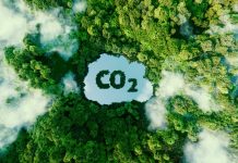 Concept depicting the issue of carbon dioxide emissions and its impact on nature in the form of a pond in the shape of a co2 symbol located in a lush forest. 3d rendering.