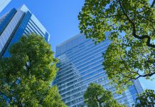 office building and green tree