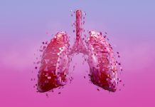 Dissolving human lung. Lung health. Smoking issues. Digitally generated image. 3d render.