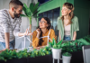 Three young adults, two females and one male, actively brainstorm and discuss wind turbine designs together at a desk filled with plants in a modern, collaborative office space.