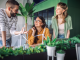 Three young adults, two females and one male, actively brainstorm and discuss wind turbine designs together at a desk filled with plants in a modern, collaborative office space.