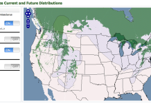 Figure: Present(hashed) and future (solid) scenarios for the distribution of the red squirrel