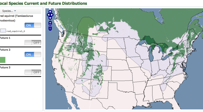 Figure: Present(hashed) and future (solid) scenarios for the distribution of the red squirrel