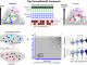 Figure: Top left & right: Depiction of an epigenetic Waddington landscape with various cell types illustrating the hierarchical process of differentiation (left) and how this process is altered in cancer (right). Top middle: diagram to illustrate how the normal multipotent cell suppresses tissue-specific transcription factors via an easily reversible epigenetic modification called H3K27me3. These H3K27me3 marks are removed once a cell differentiates into one that carries out a specific function in the tissue/organ (‘differentiated cells’). In cancer, the suppression by H3K27me3 is replaced by promoter DNA methylation, which is stable and leads to irreversible and increased suppression of tissue-specific transcription factors. CancerStemID can estimate the transcription factor inactivation load (TFIL) for any given cell. Bottom left: Illustration of how TFIL could identify the cells that are more stem-like and which drive cancer progression. Bottom middle: Heatmap of inactivation events of esophageal specific transcription factors in single cells from a precursor cancer lesion (low and high-grade intraepithelial neoplasia-LGIN/HGIN) in the human esophagus, with cells sorted by the TFIL. Bottom right: Violin plots displaying the significant association between TFIL and dedifferentiation, and between TFIL and a cancer risk score computed as relative similarity between a precancerous cell and those found in invasive cancer.