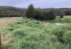 Figure 1: An active area of hay cultivation next to an abandoned area that was abandoned due to thaw subsidence and the formation of a pond at a farm in Fairbanks, AK. Note the elevation difference (>1 m) between the pond and the adjacent cultivated area.