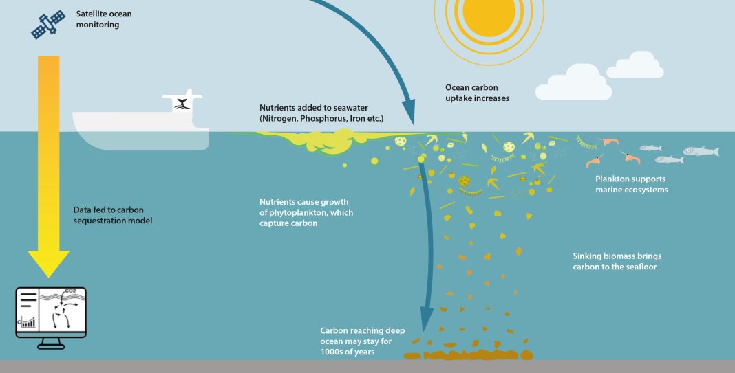 CC By 4.0. Adapted from original artwork by Rita Erven, GEOMAR/OceanNETs, ocean nourishment