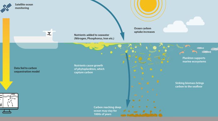 CC By 4.0. Adapted from original artwork by Rita Erven, GEOMAR/OceanNETs, ocean nourishment