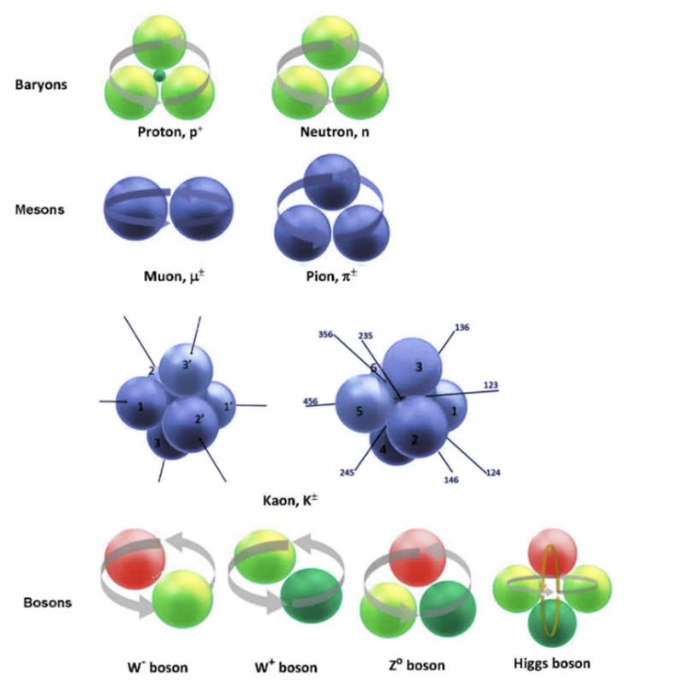 Figure 3. The elementary particles of the Rotating Lepton Model (RLM). (top line) and the RLM structures and composition of baryons, muons, pions, kaons and bosons. (6)