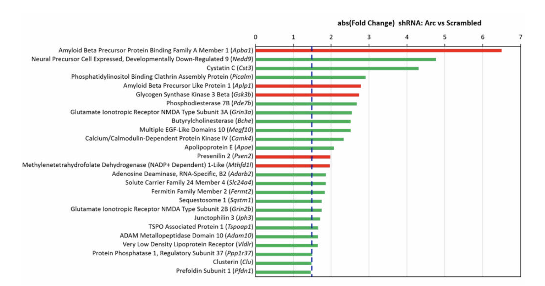 Figure 3. Alzheimer’s susceptibility genes affected by Arc knockdown. The expression levels of 26 AD susceptibility genes were affected when activity-dependent Arc expression was prevented by RNA interference. Green bars indicate that the mRNA level was downregulated, while red bars indicate upregulation. The blue line indicates an absolute fold change of 1.5.