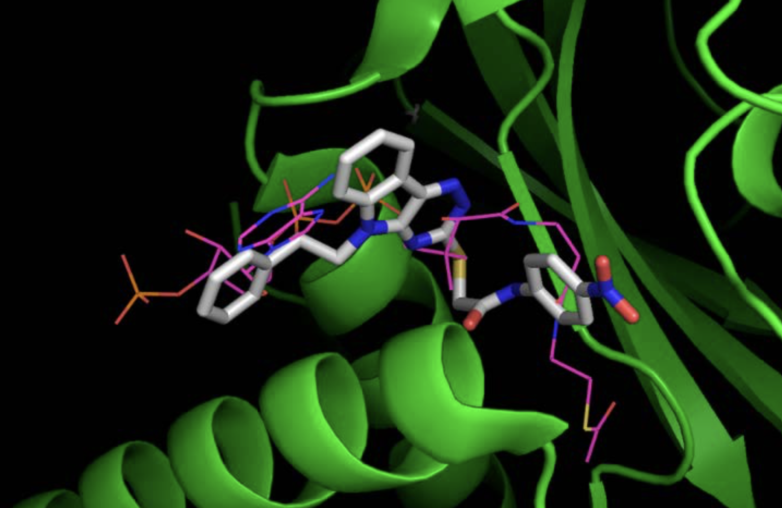 Figure 4. Structure of Tip60 with drug Tip60.1. The optimal 3d pose of the top-ranking drug (white sticks) is shown docked into Tip60 (green) together with acetyl-CoA (magenta lines), which was co-crystalized.