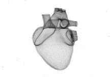 3d rendering of digital illustration of heart on white background. Concept of heart sketch.